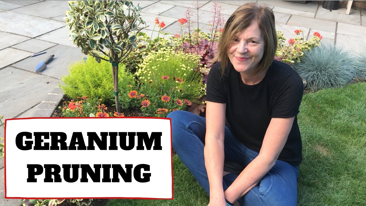 Geranium Pruning // Summer Garden Maintenance