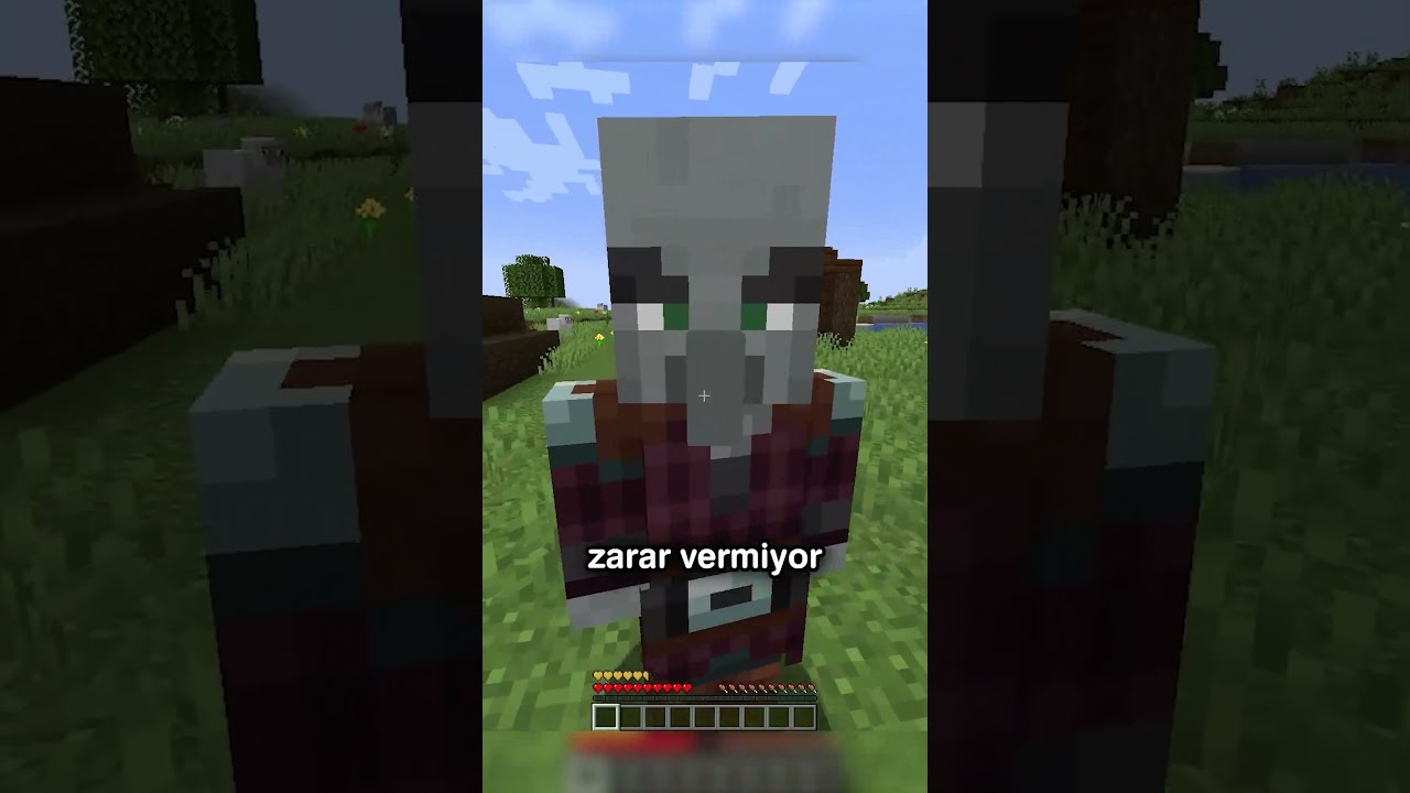 Minecraft'ta Yağmacı Evcilleştirme!! ⛏💎