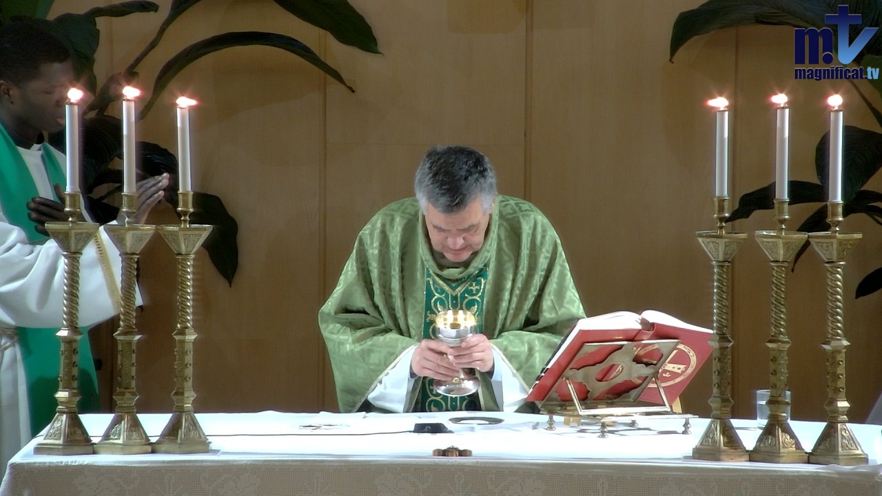 La Santa Misa de Hoy | Domingo V del Tiempo Ordinario (08-02-2026) | Pbro. Santiago Martín, FM