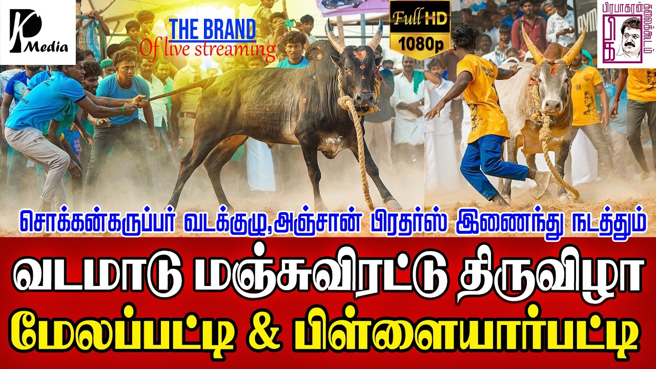 🔴 LIVE (நேரலை) | மேலப்பட்டி வடமாடு மஞ்சுவிரட்டு  | சிவகங்கை மாவட்ட வடமாடு 2026 | PK Media