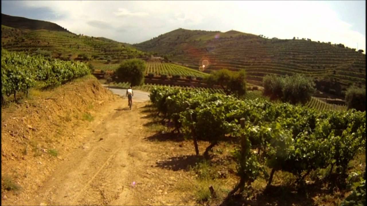 fozcoa vesuvio