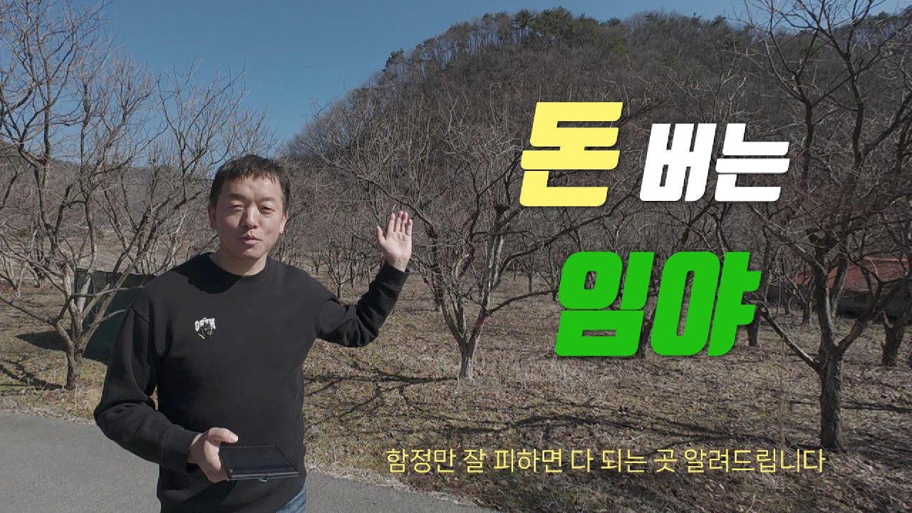 7억 6천 산이 2억대로 폭락한 이유? (남들이 버린 맹지로 3배 버는 법)
