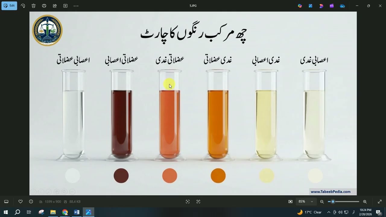 Tibb e Pakistani Online Class - Lesson 06 | پیشاب، زبان سے تشخیص کا طریقہ