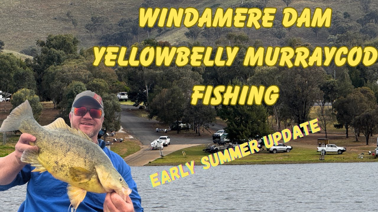 Windamere Dam Fishing update – Big Yellowbelly & Murray Cod Action | summer Tactics