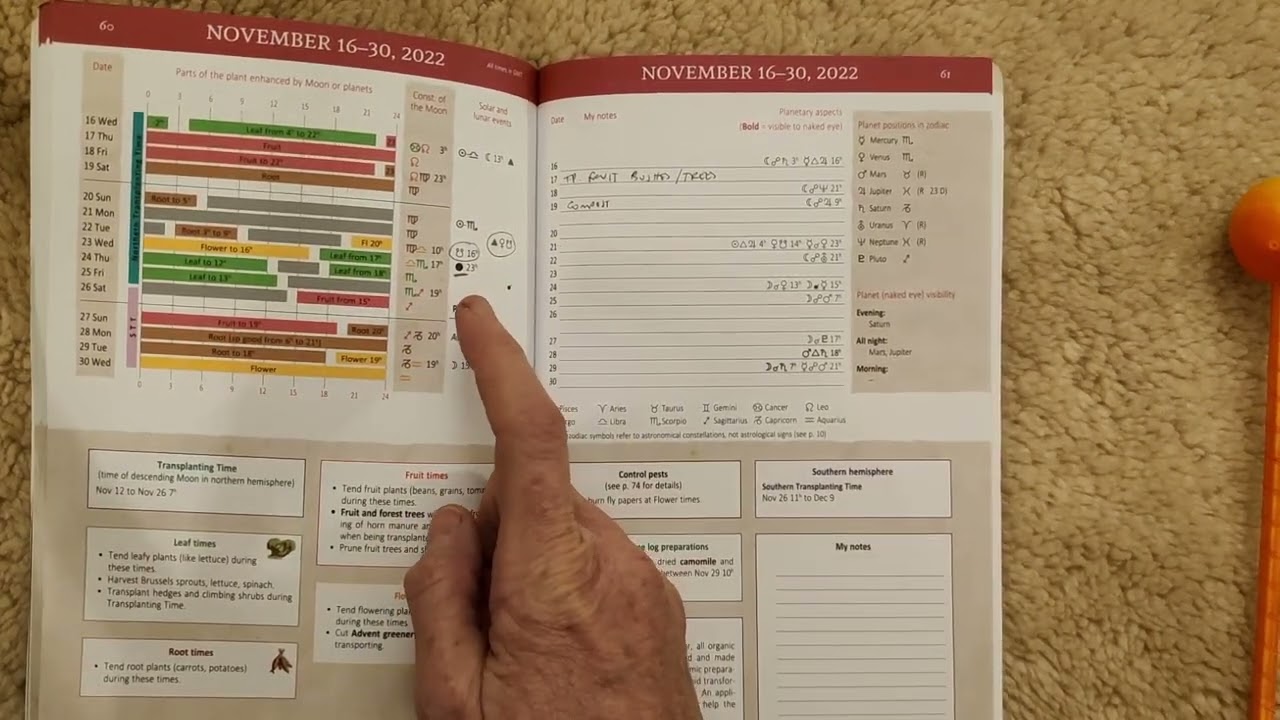 Nov 2022: Planting by the Moon Tips and Know - How for the month ahead