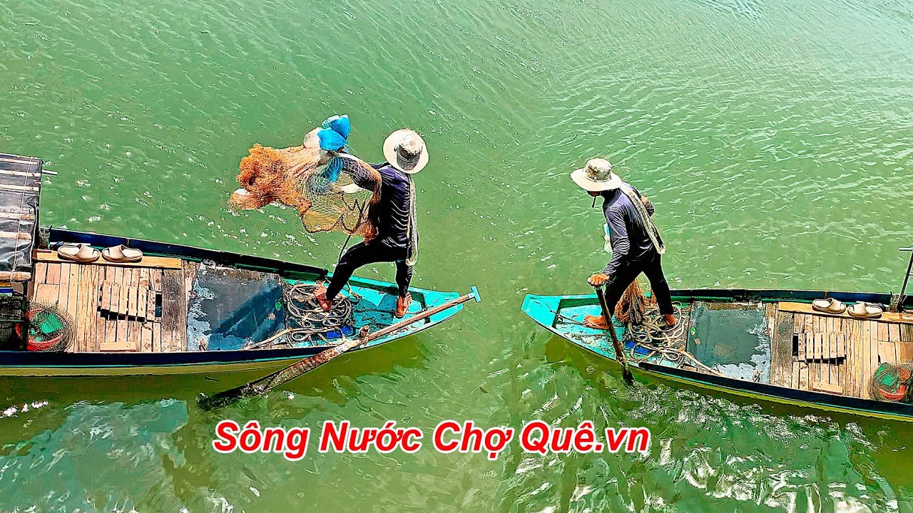 Kênh Vĩnh Tế Mùa Hè-Khúc Đập Tha La Rừng Trà Sư 2025 Châu Đốc An Giang