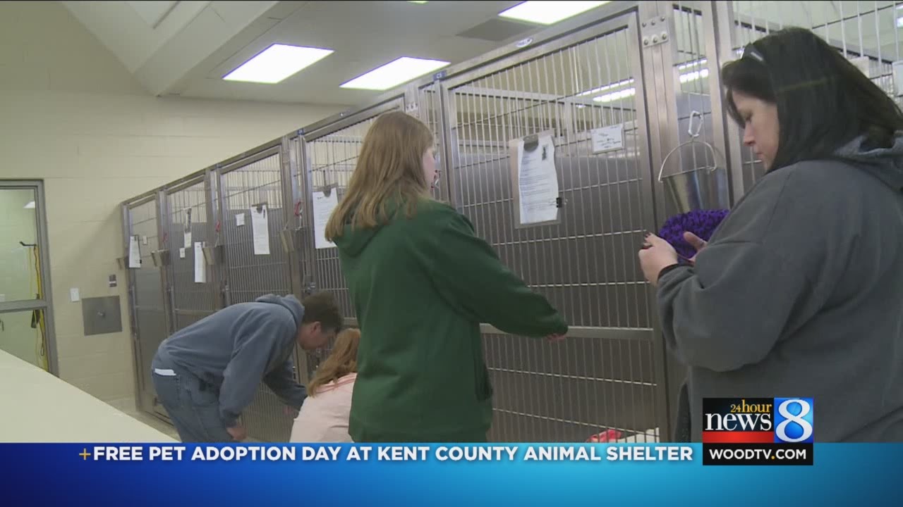 Free pet adoption day at Kent Co. Animal Shelter