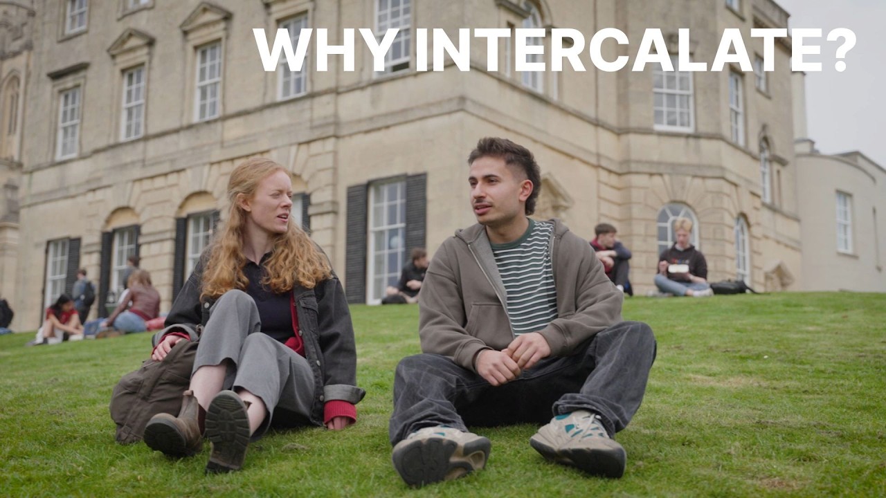 Why intercalate?