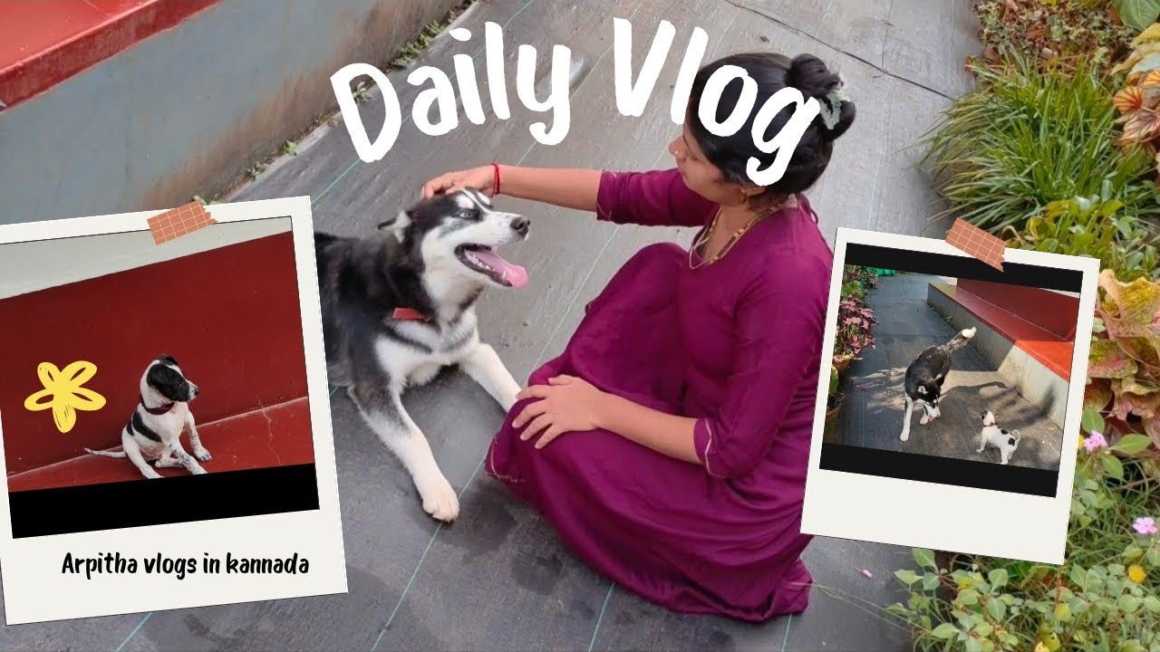 ಮನೆಯಲ್ಲೇ ನಮ್ಮ ನಾಯಿಗಳ ಜಗಳ 🐕🐕#pets #pett lover #tulunad #arpitha #mangaloreanfamily 