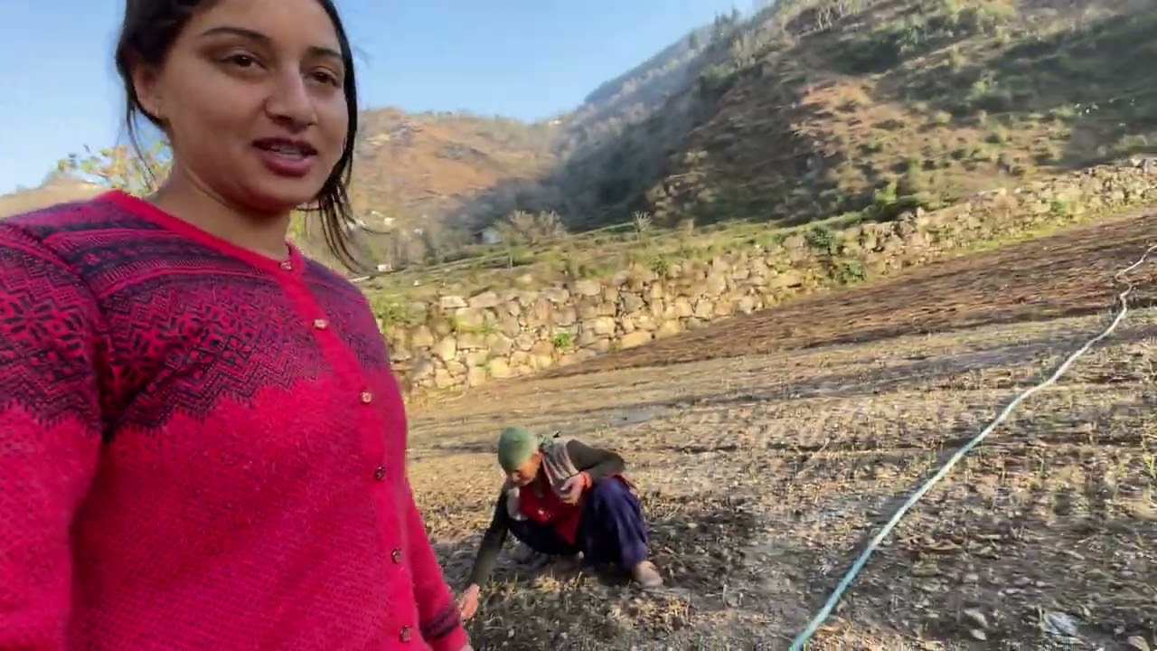 #minivlog 