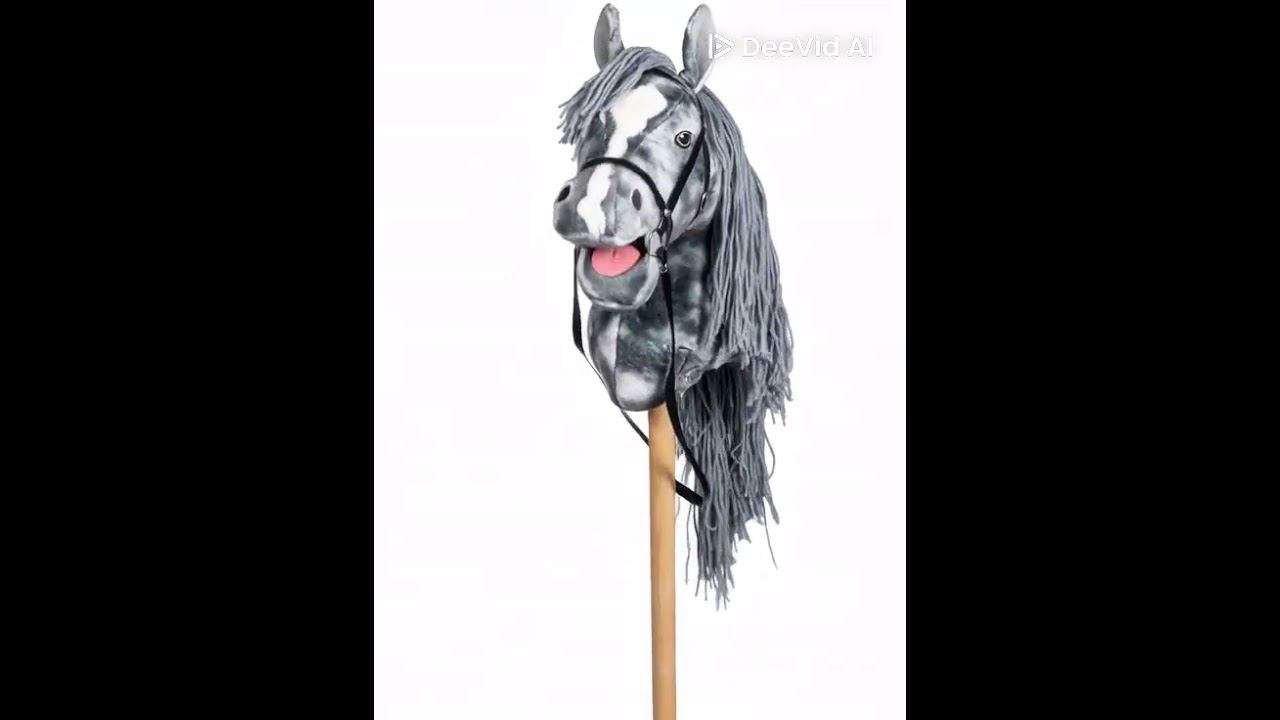 Hobby Horse 