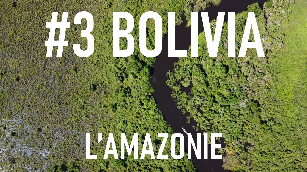 #3 BOLIVIE - L'Amazonie