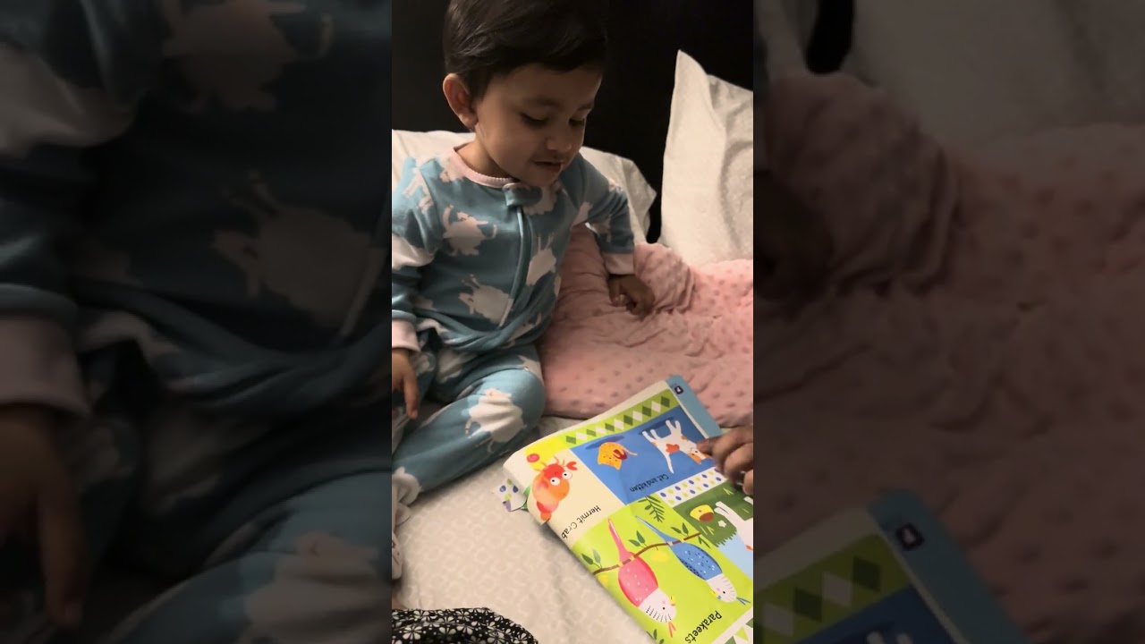 Insi Learning Animals Name 