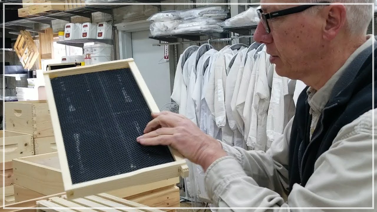How To Divide A Beehive Colony: Professional Beekeeper Teaches Splitting