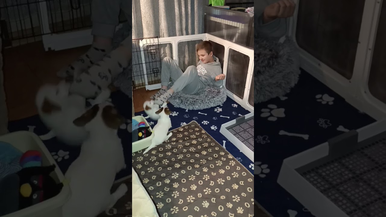 Социализация - ребёнка 🤣😛