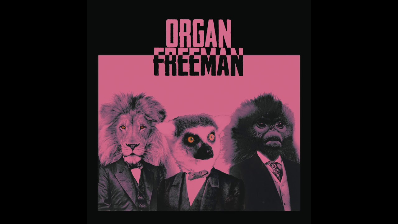 Organ Freeman - Life's a Bench