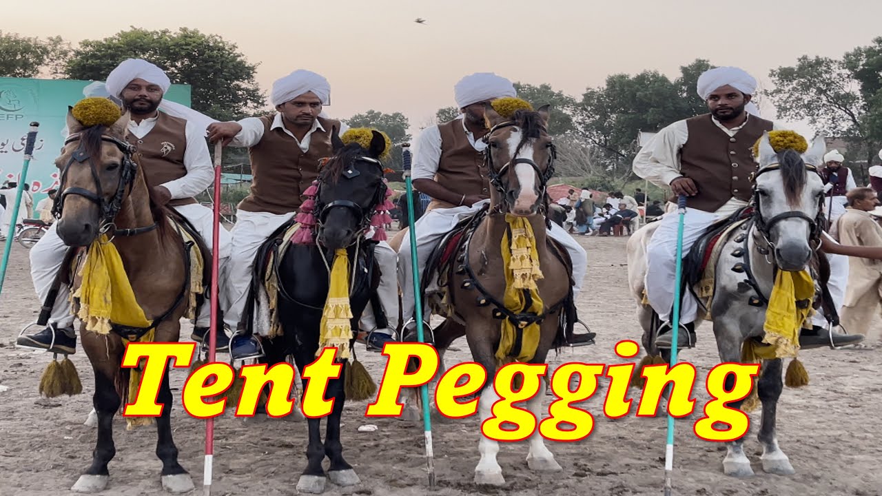 Neza Bazi (Tent Pegging) in University of Agriculture Faisalabad | Doctor Bhai Vlogs |