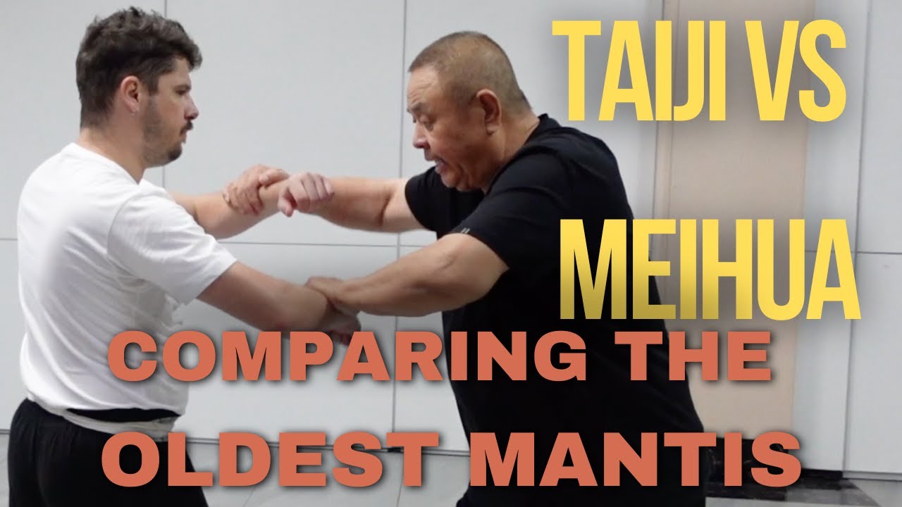 Taiji vs Meihua Mantis | Master Wang Xiuyuan Compares Luan Jie 乱接