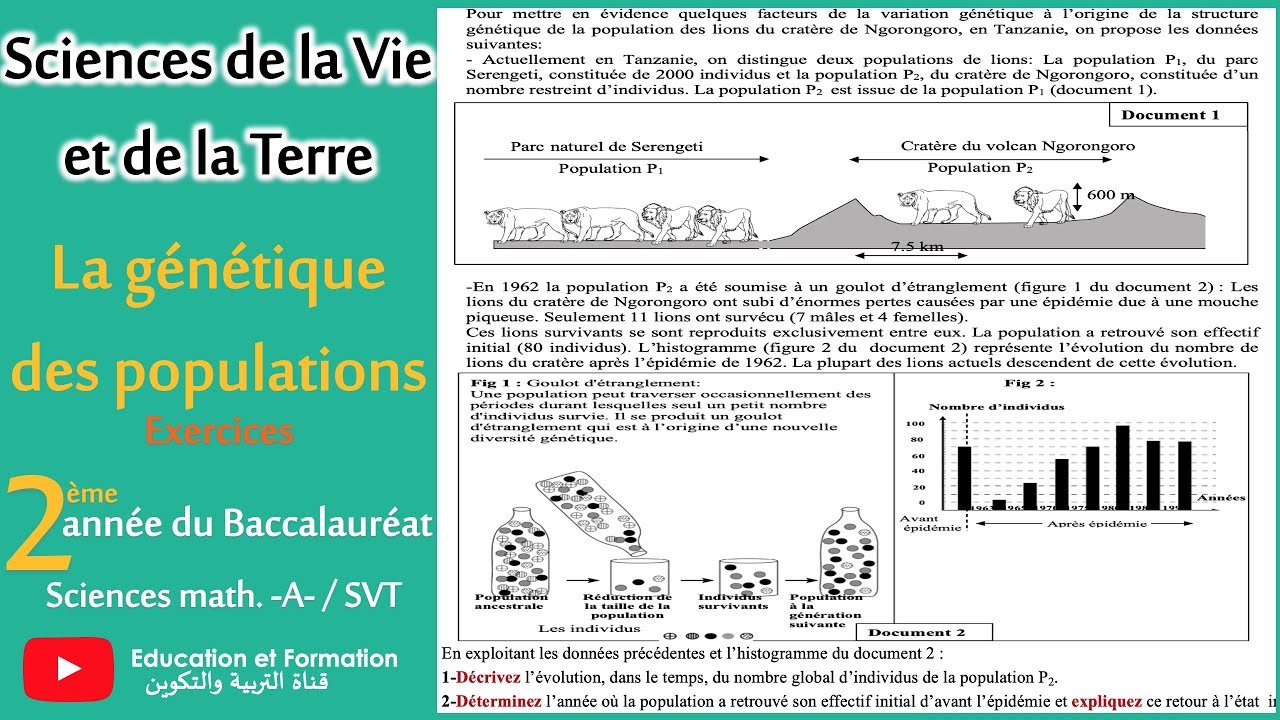 La génétique des populations- Exercices - 2ème Bac SVT-2ème Bac Sc. Math-A-