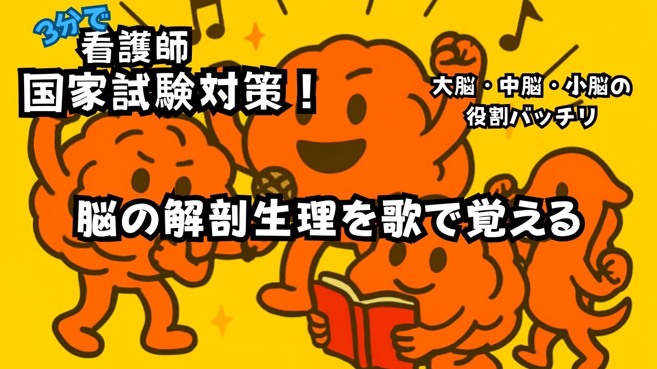 【3分で覚える！】脳の解剖生理ソング🧠✨看護学生のための神暗記ソング！脳のはたらき、歌でスッキリ覚えよう！解剖生理まるっと暗記ソング【3分】