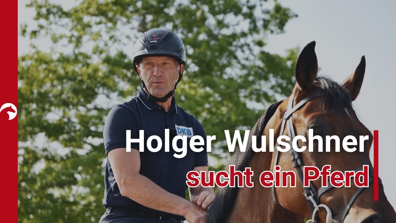 Springreiter Holger Wulschner sucht ein Pferd