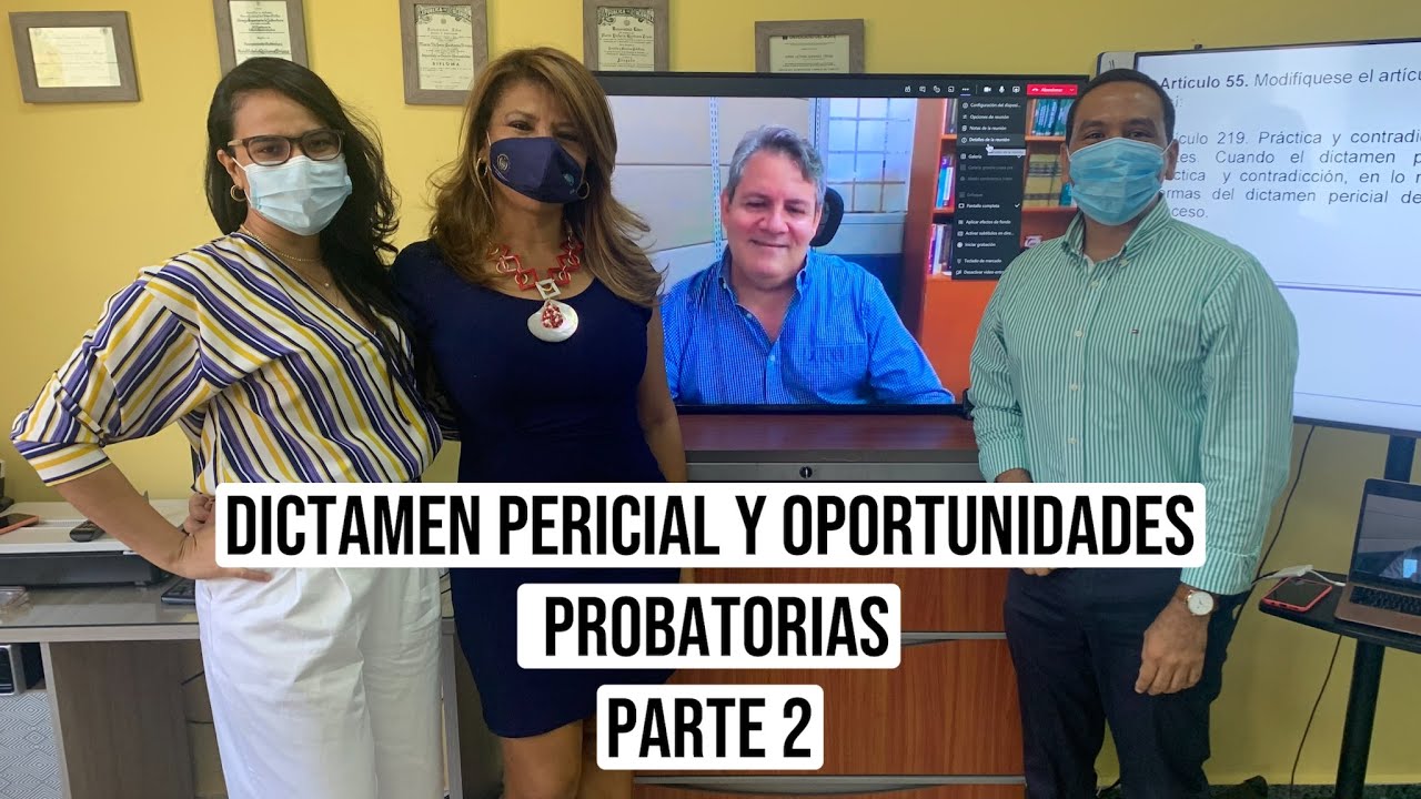 PARTE 2 - Dictamen pericial y oportunidades probatorias