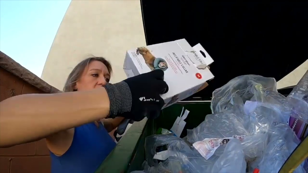 Store threw away Brand New Merch! Dumpster Diving Extravaganza #55