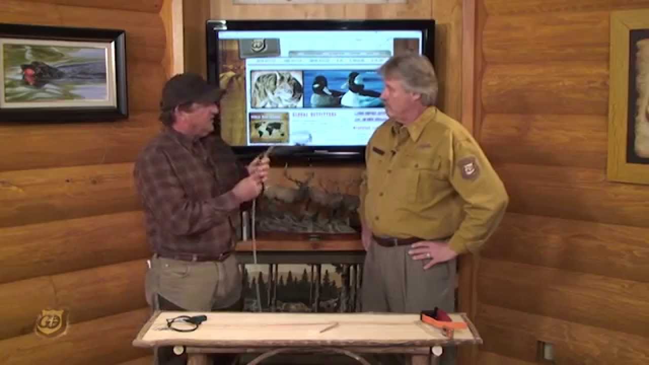 Operant Training Methods with Positive Reinforcement  for Gundogs - After the Basics