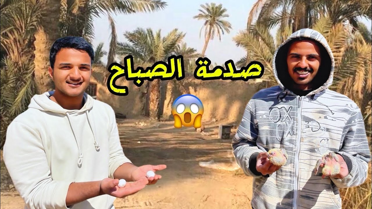 لفّة صباحية بالمزرعة 😳 بيض الوز اختفى! والأرنبة ولّدت فجأة 🐇🔥