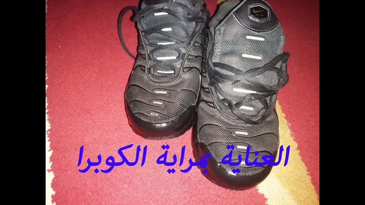 كيفية الأعتناء بمراية الكوبرا