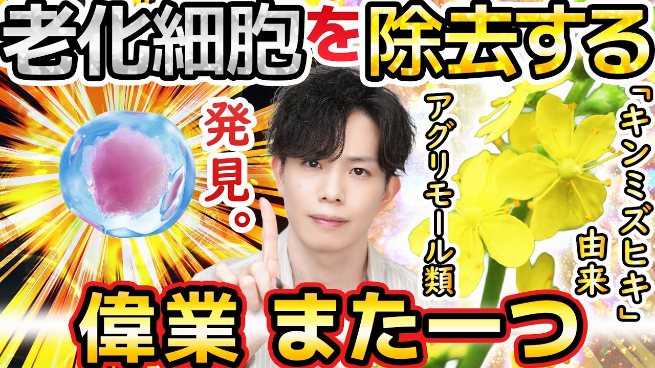 【偉業、また1つ】FANCLも&ldquo;老化細胞を除去する&rdquo;成分を発見！エイジングケア新時代の幕開け『キンミズヒキ由来アグリモール類』とは