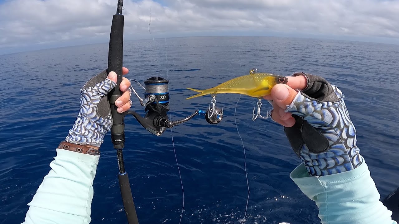 Big Bucket List FISH on This Lure!!! GULf OF MEXICO Offshore Fishing
