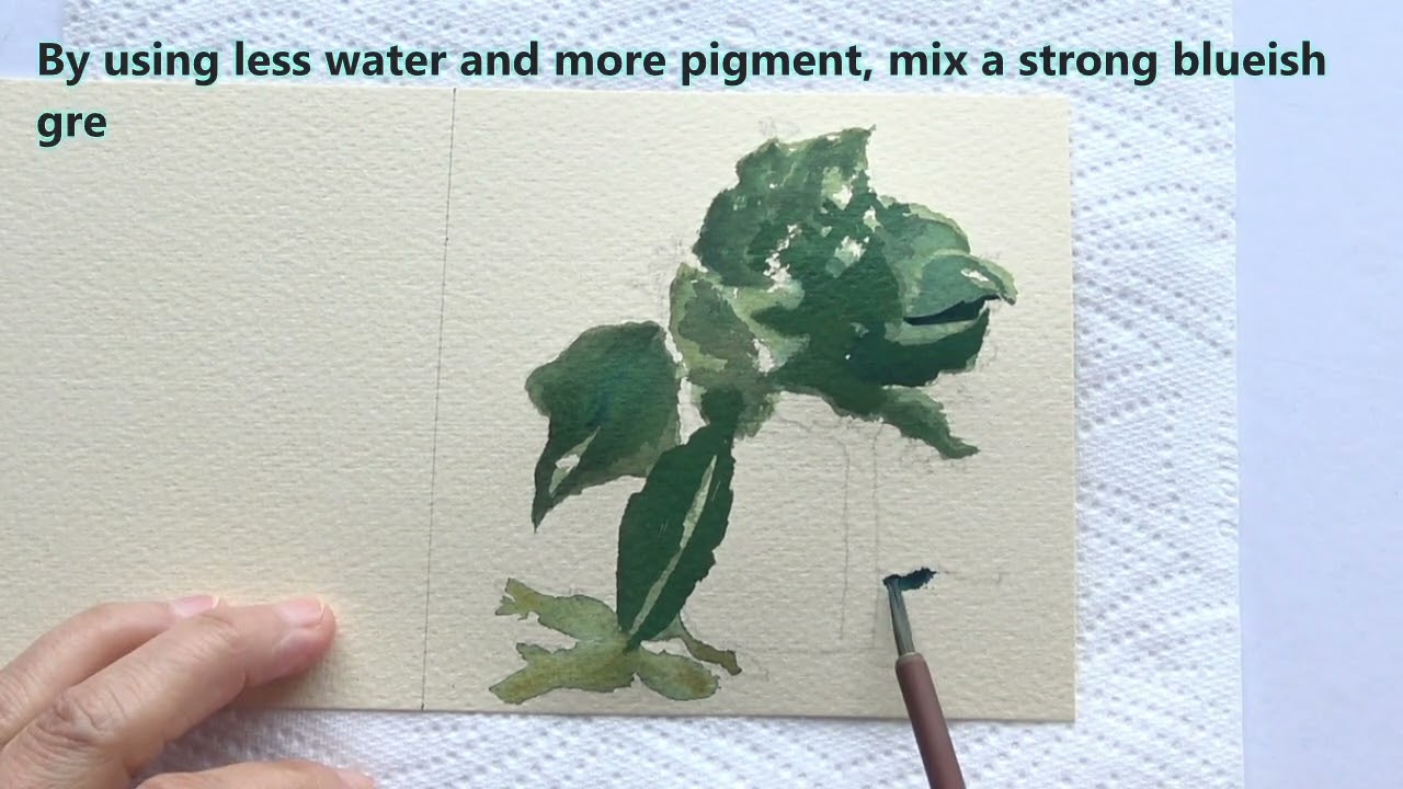 Green leaves in a white jug