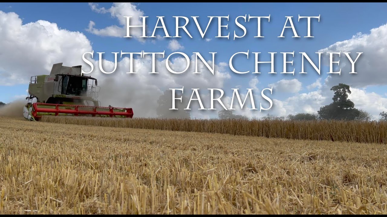 Harvesting barley at Sutton Cheney Farms.