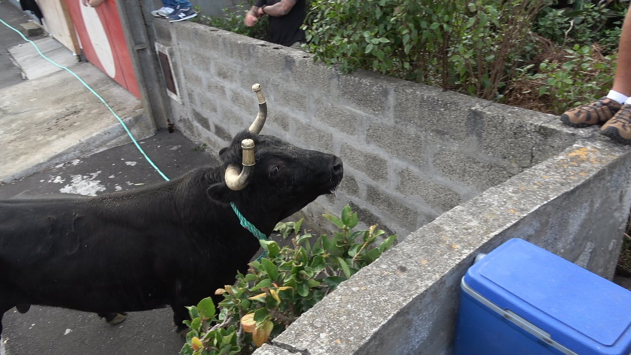 Gente Nossa - Estrada de Santa Margarida do Porto Martins 2025   (FHF)