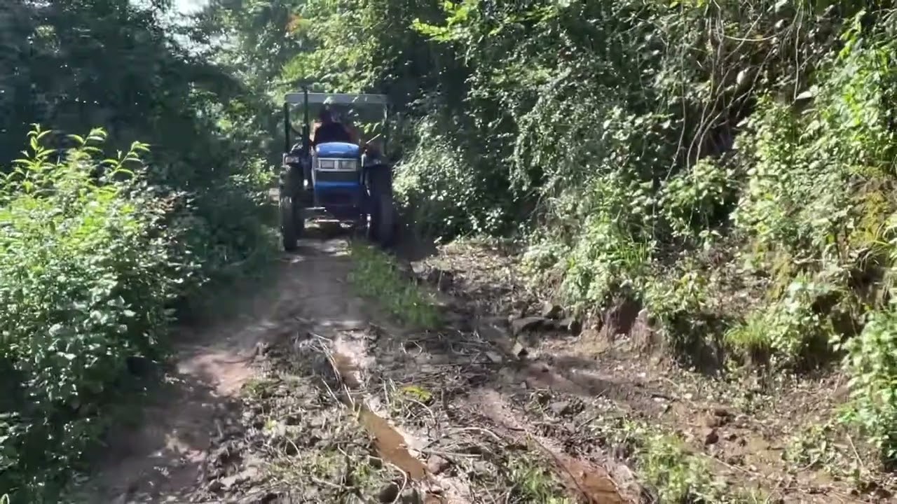 😡😡Bhwt bure hal ho rhe hai thressing ke kam se 😔😔😔