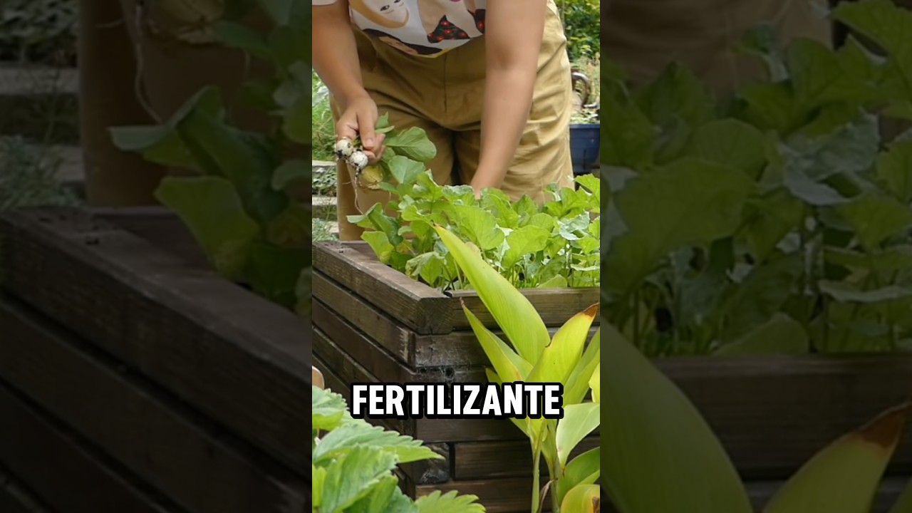 Que es el Humus De Lombriz?🪱 🪴 #agricultura #agro #agriculture #short #shortvideo