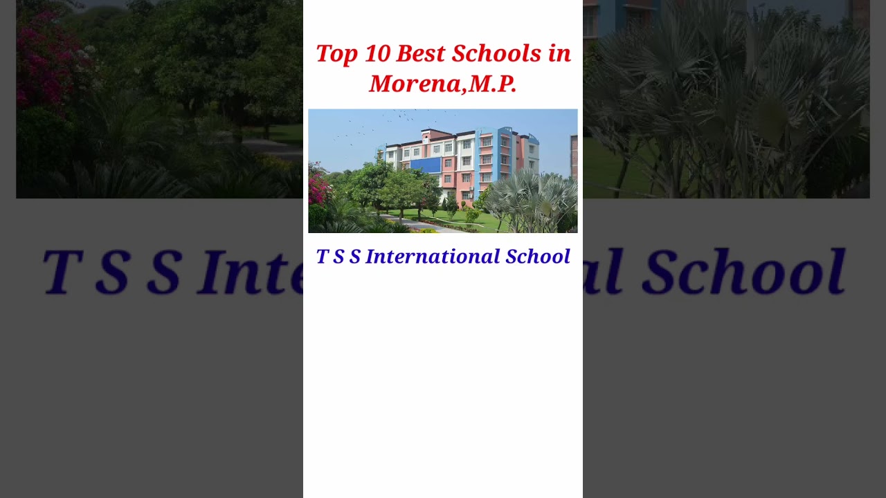 Top 10 Best Schools in Morena,M P