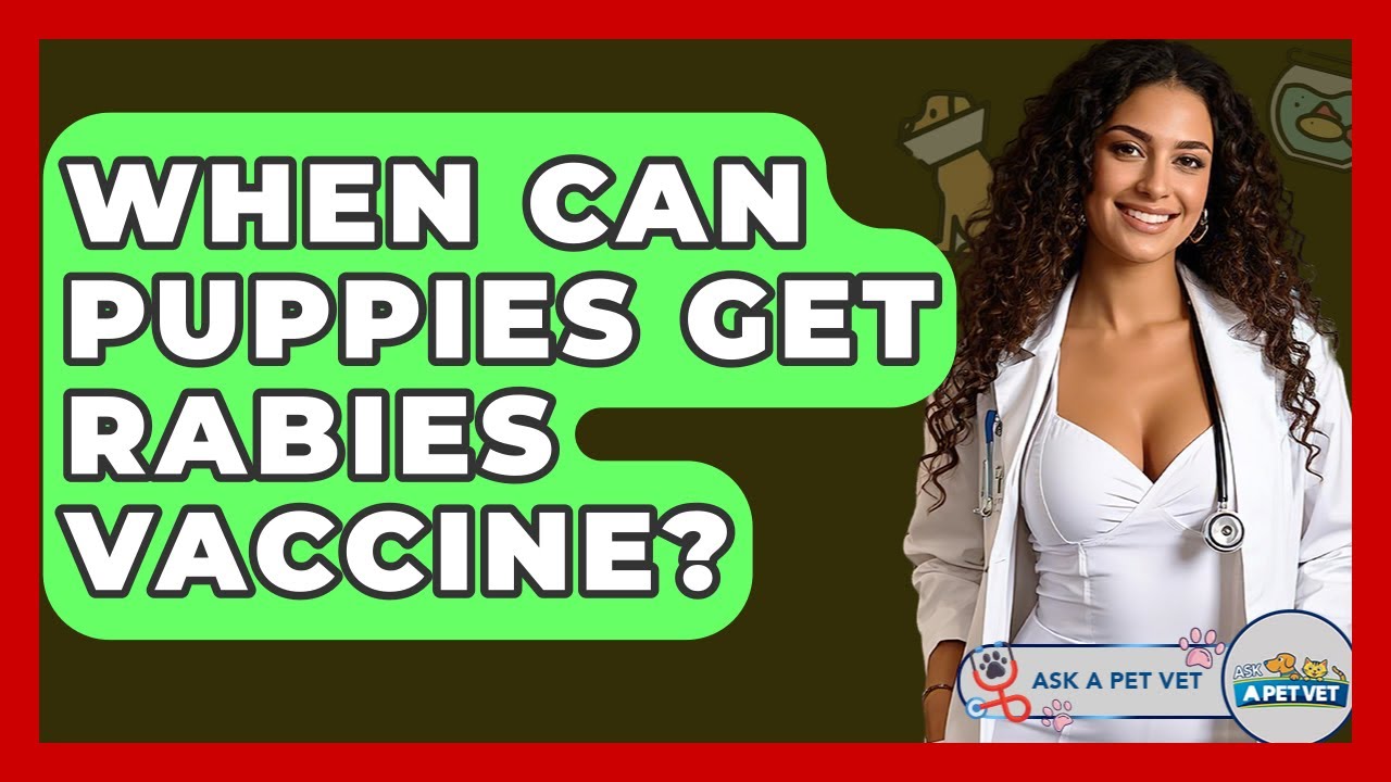 When Can Puppies Get Rabies Vaccine? - Ask A Pet Vet