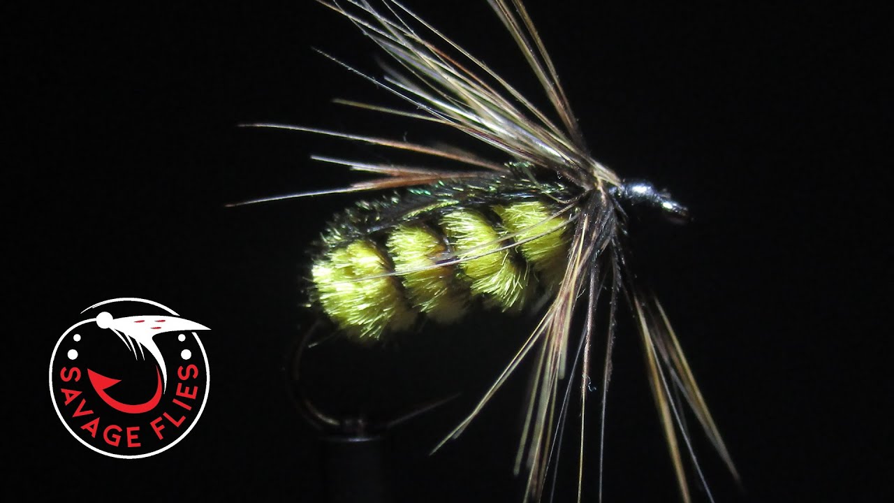 Fly Tying - The Fat Tellico All-purpose Nymph with Matt O'Neal