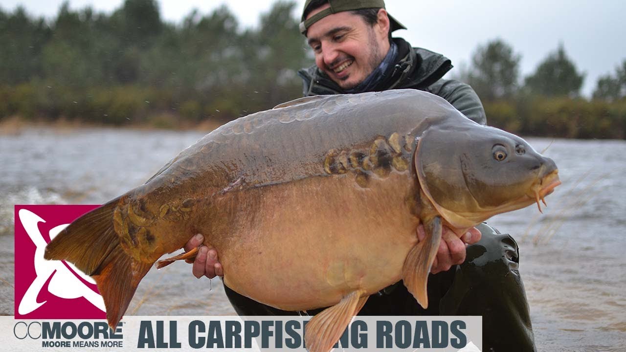 CCMoore France: ALL CARPFISHING ROADS, pêche à la carpe