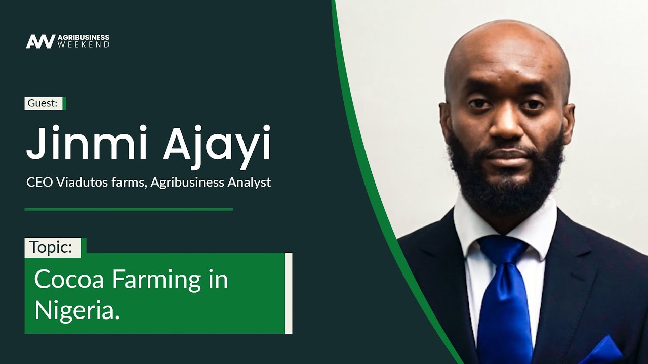 Cocoa Farming in Nigeria - Jinmi Ajayi