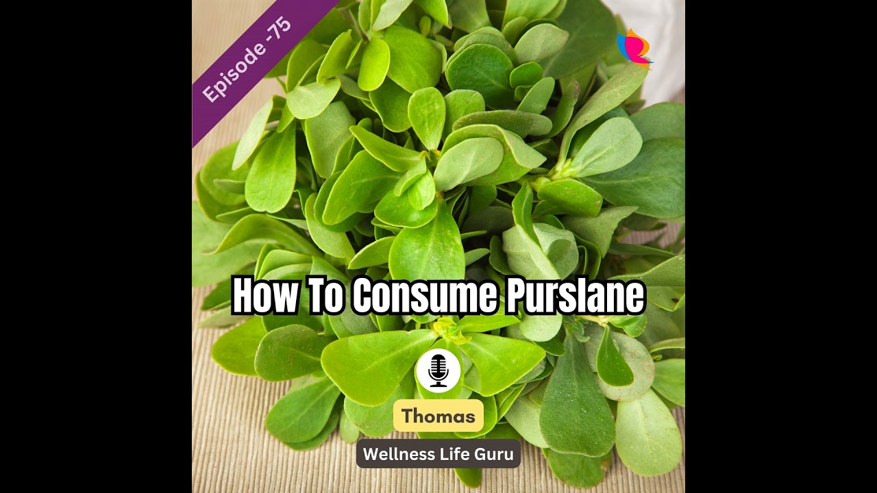 75. How To Consume Purslane Into Your Diet for Optimal Health