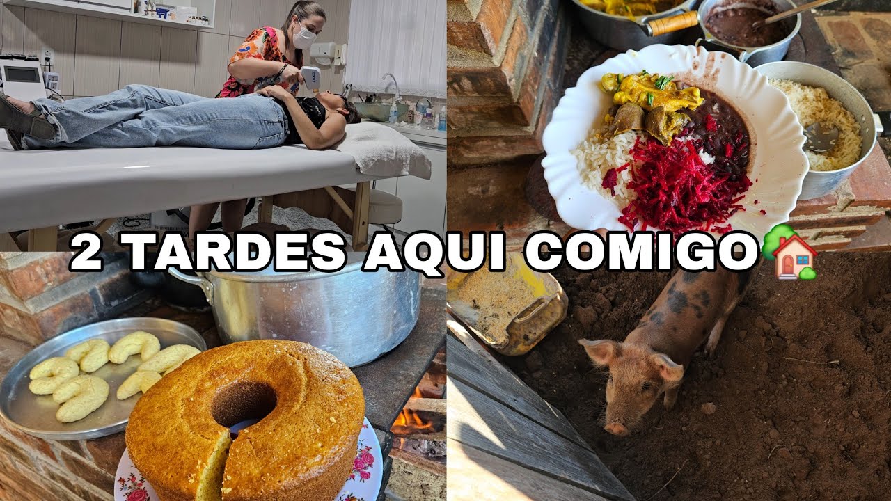 AGORA TEMOS UM PORCO🐖DIA DE DEPILAÇÃO A LED,O MELHOR BOLO DE FUBÁ, ALMOÇO CAIPIRA,COLHEITA DE FRUTA