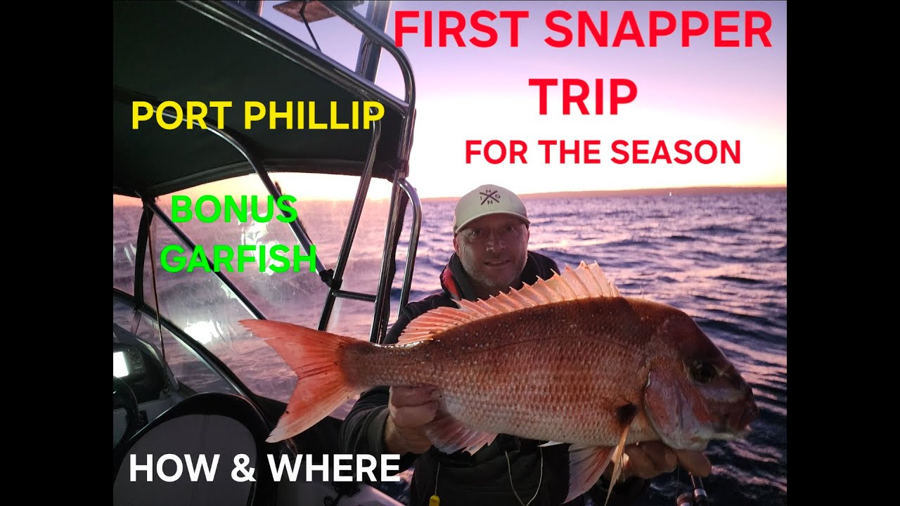 SNAPPER FISHING | PORT PHILLIP | DEC 2025 #snapper #snapperfishing #fishing #garfish #garfishing
