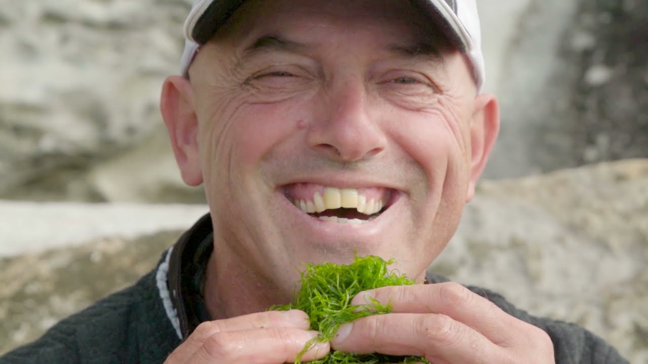 The Next Level- Luderick Fishing -Legal Weed