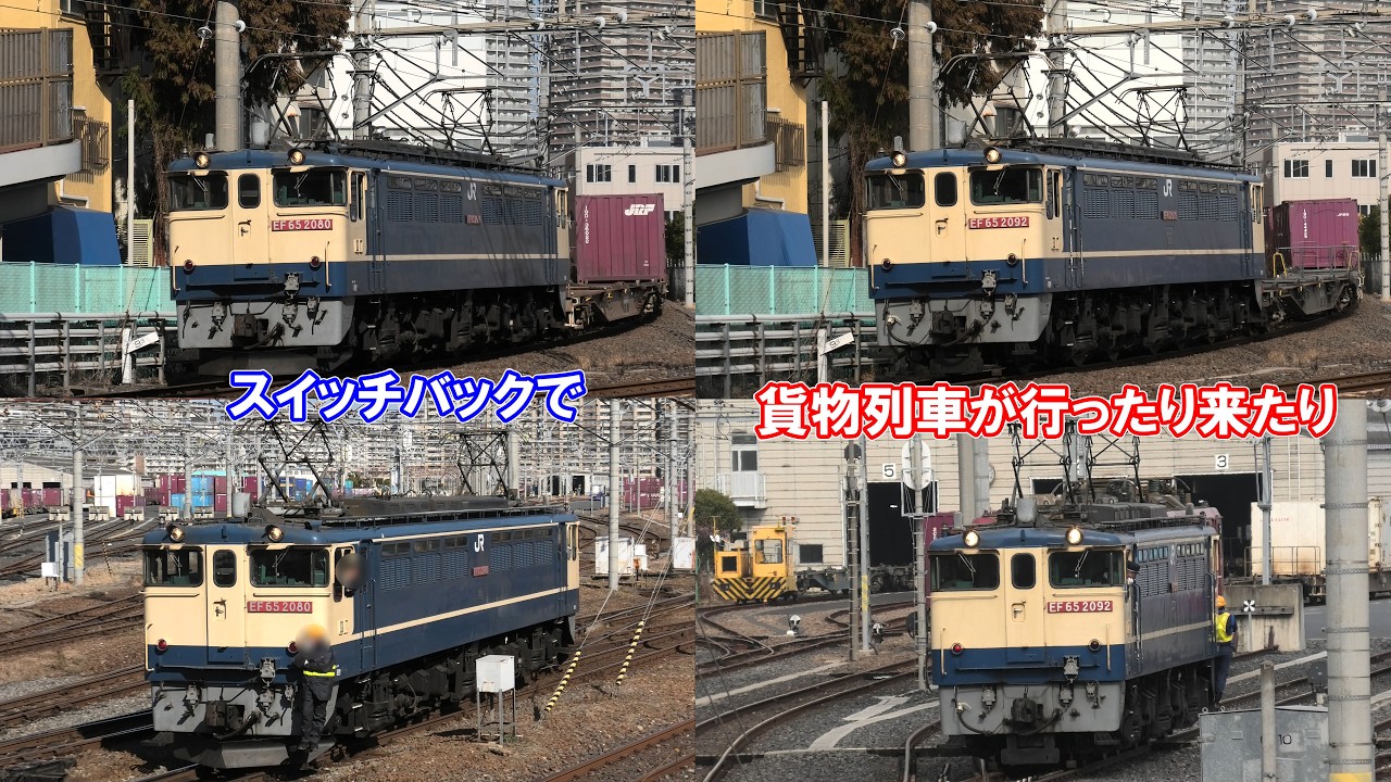 【JR貨物・隅田川駅で貨物列車ウォッチ】EF65が牽引する隅田川シャトルの入換作業などを見物【2026年2月13日～14日】