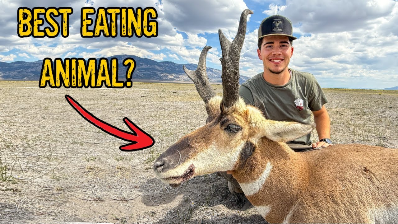 Chasing the Fastest Animal in North America - First Pronghorn Hunt