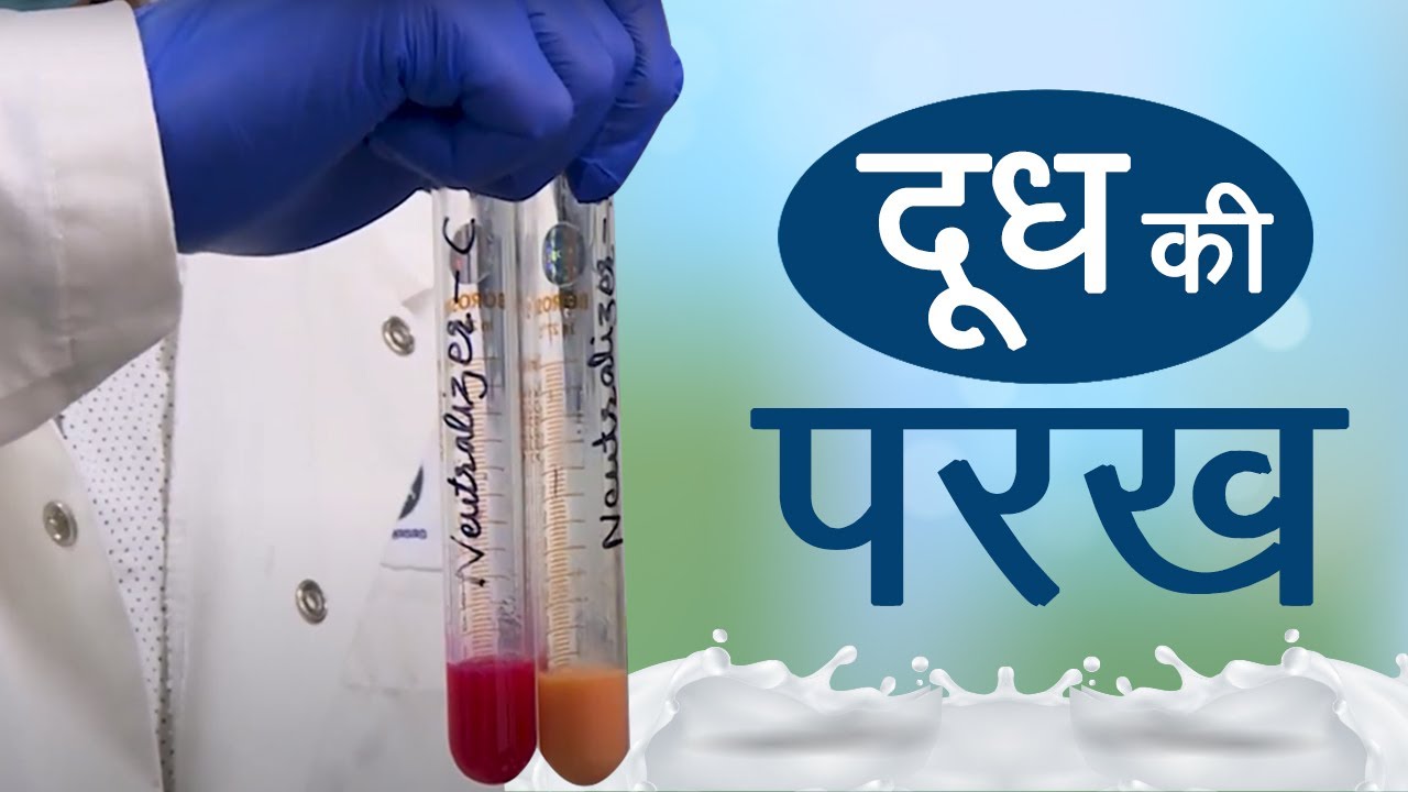 Milk Adulteration Detection Techniques | Doodh ki Parakh । Maap-Taul ki Duniya