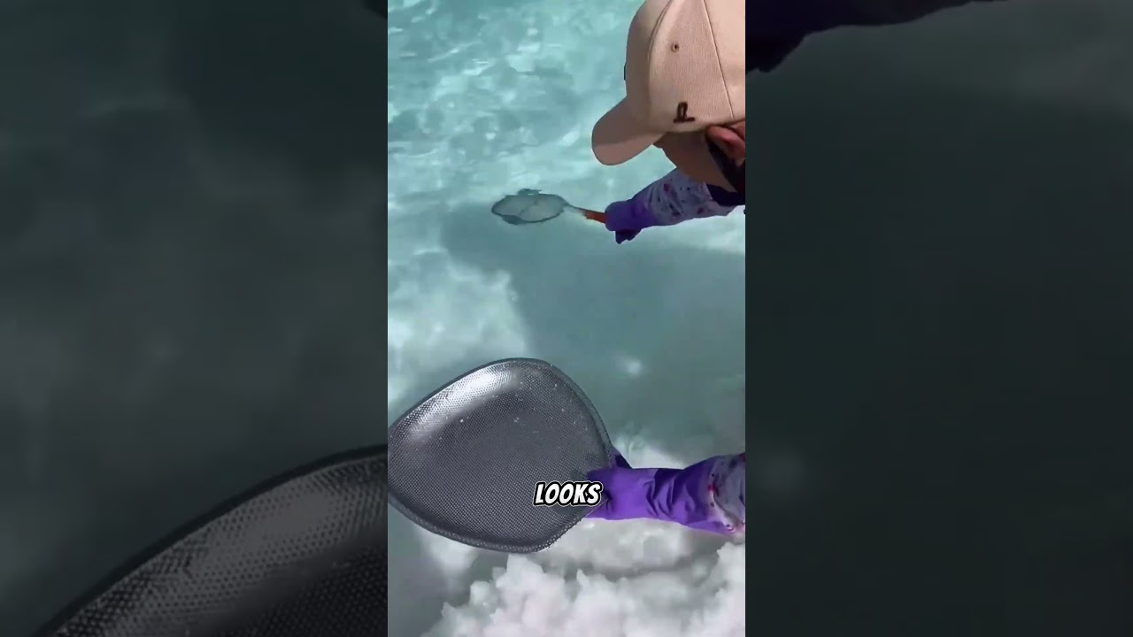 Озеро, где тебя буквально не утопить 😳🧂🌊